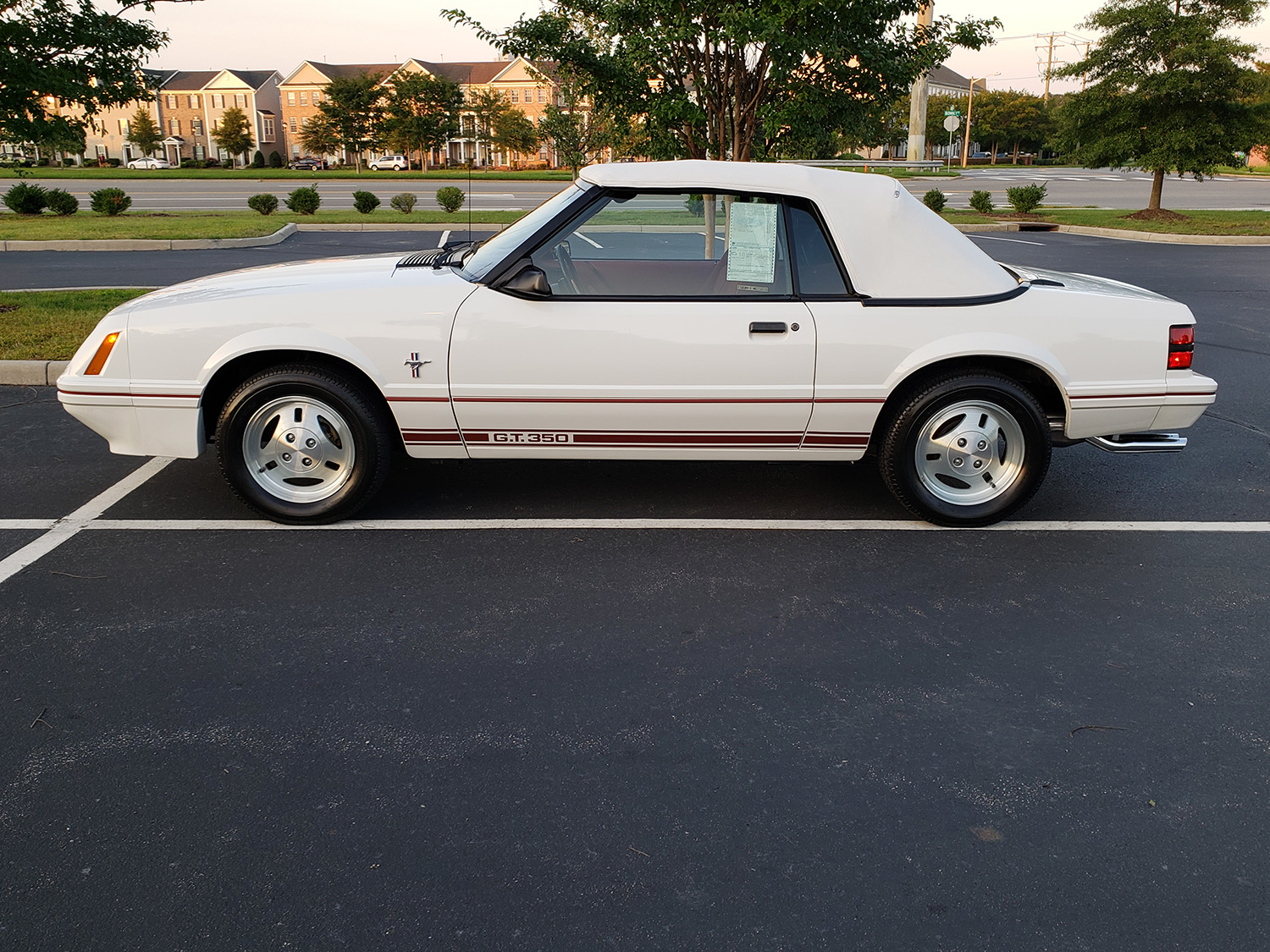 Crédit photo : Jimnva - 1984 Ford Mustang GT350 - commons.wikimedia.org CC-BY-SA 4.0 Image