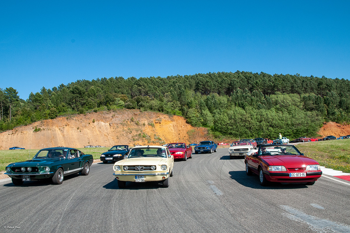 Mustang sous les projecteurs