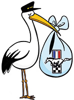 Région Alsace Lorraine