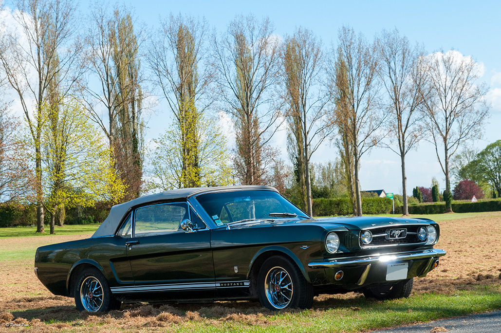 Crédit photo : Cabriolet Ivy Green 1965 - Patrick Pinte Image