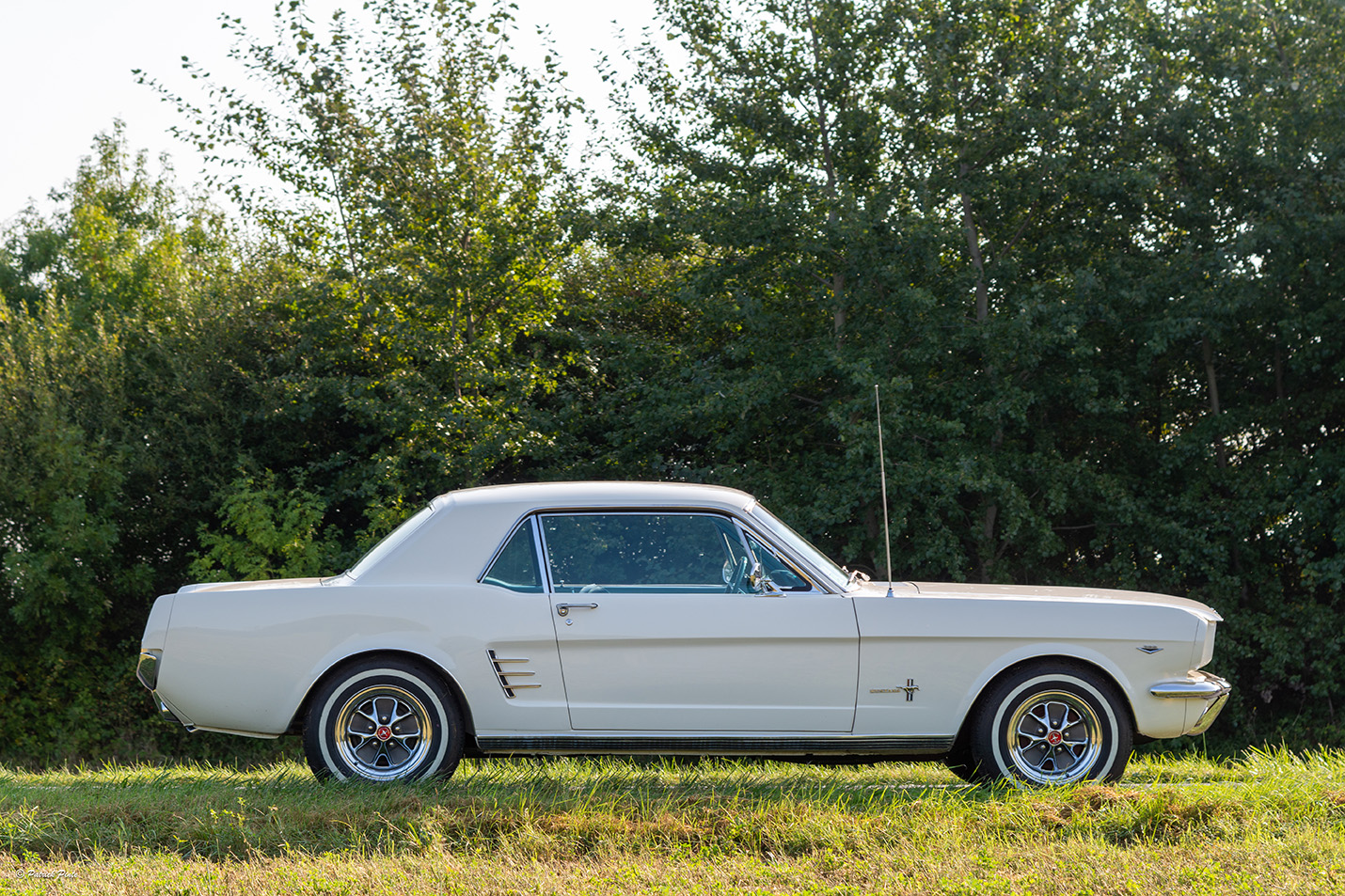 Crédit photo : Coupé Wimbledon White 1965 - Patrick Pinte Image